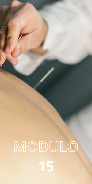 modulo-15